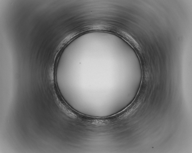 X0000112200938200908281436