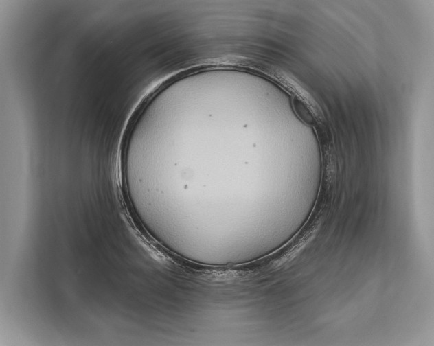 X0000112200940200908281436