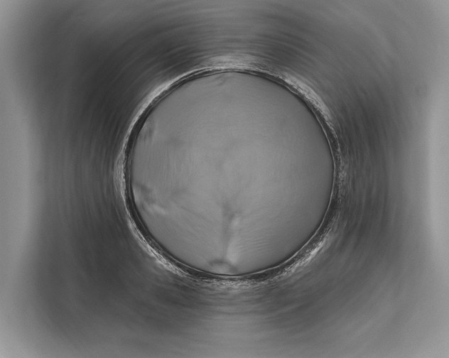 X0000112200941200908281436