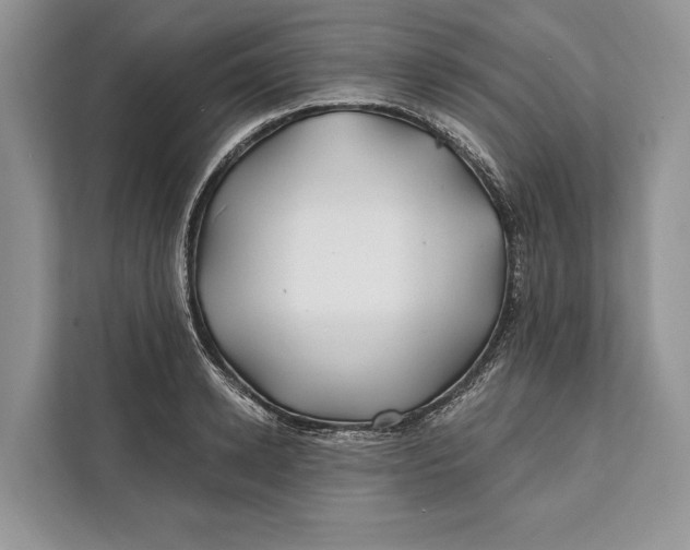 X0000112200942200908281436