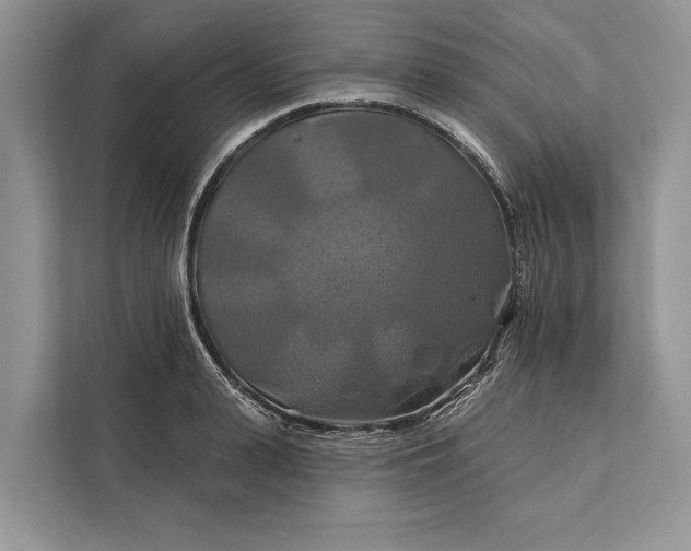 X0000112200943200908281436