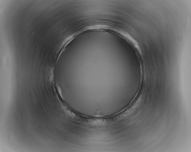 X0000112200945200908281436