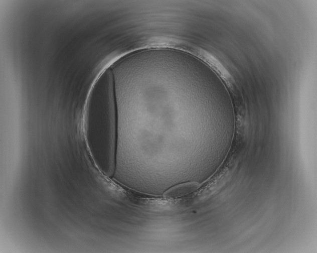 X0000112200948200908281436