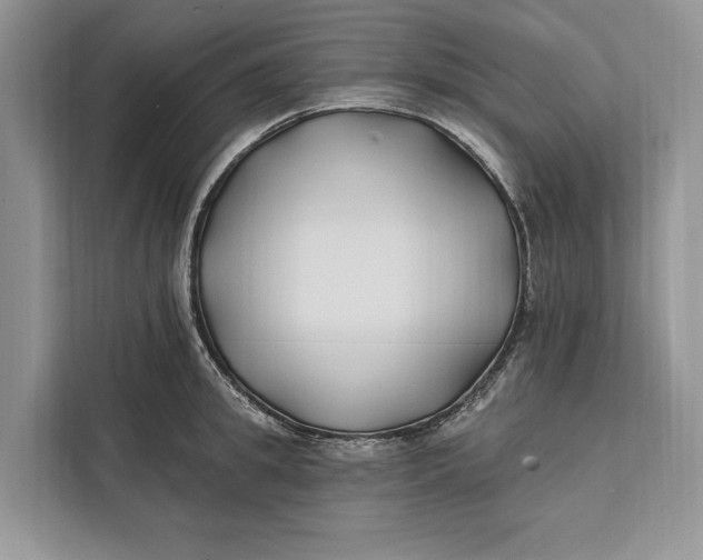 X0000112200949200908281436