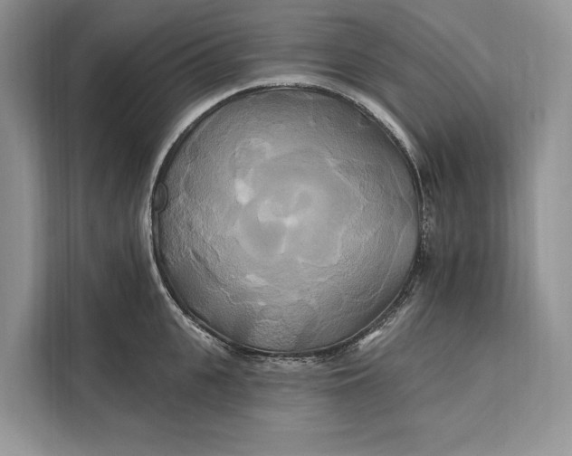 X0000112200951200908281437