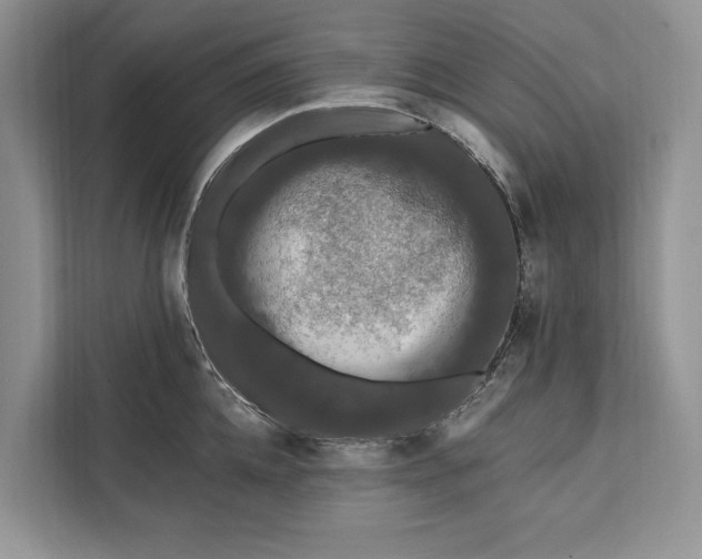 X0000112200952200908281437