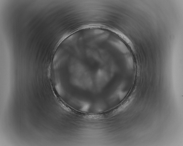 X0000112200953200908281437