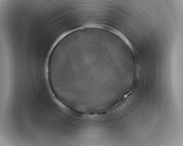 X0000112200955200908281437