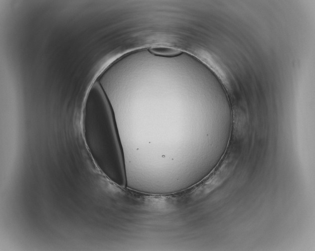 X0000112200956200908281437