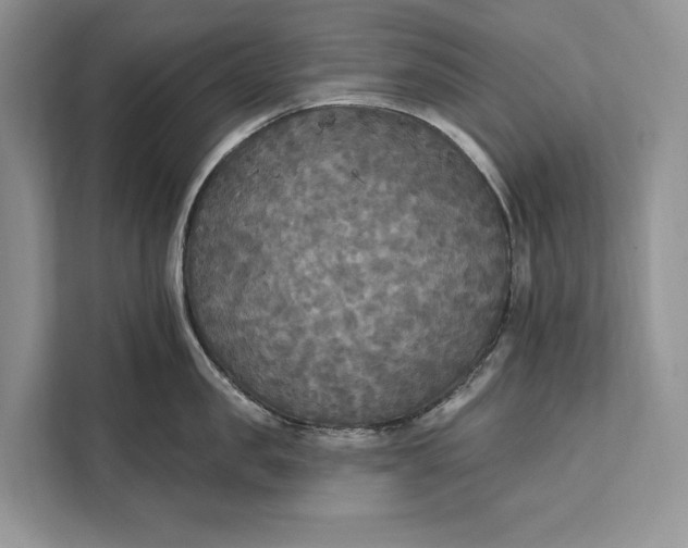 X0000112200957200908281437