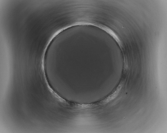 X0000112200958200908281437