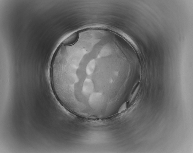 X0000112200959200908281437