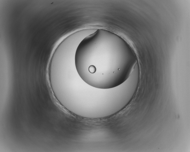 X0000112200960200908281437