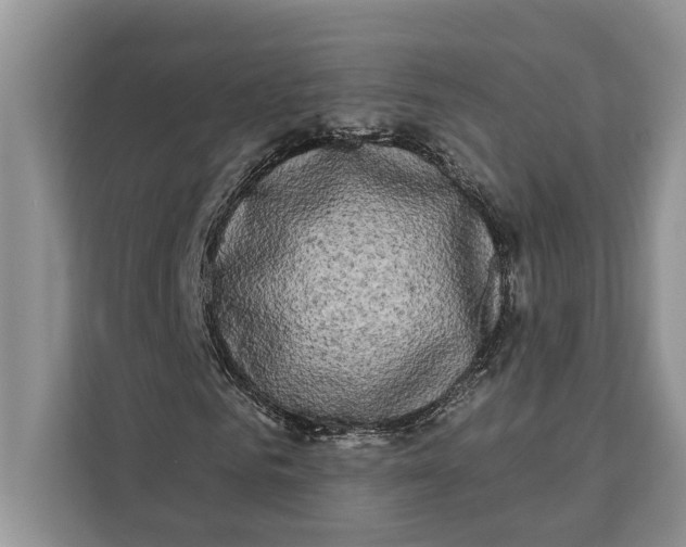 X0000112200961200908281436