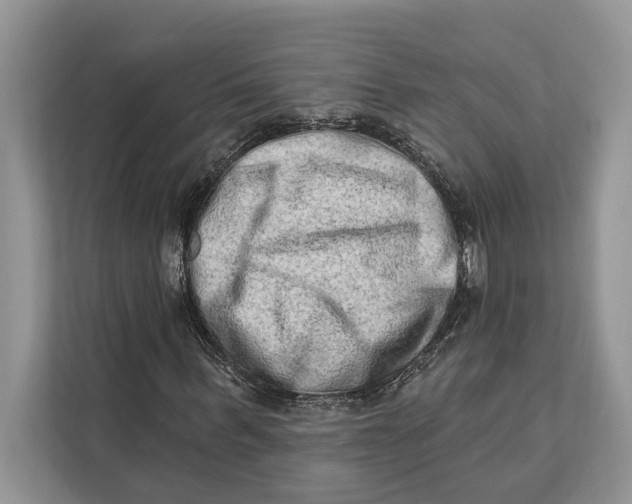 X0000112200963200908281436