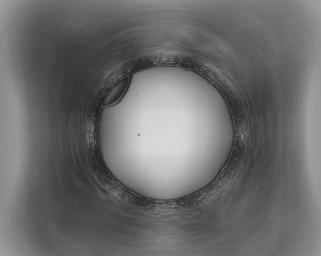 X0000112200964200908281436