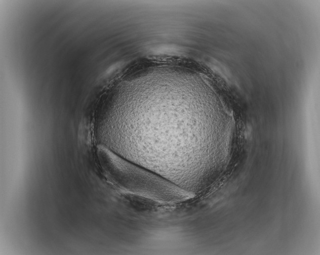 X0000112200965200908281436