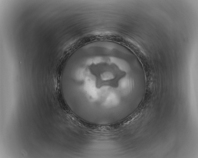 X0000112200966200908281436