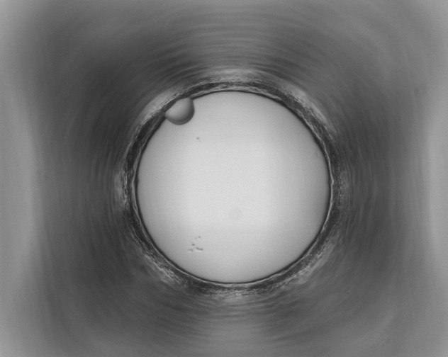 X0000112200970200908281436