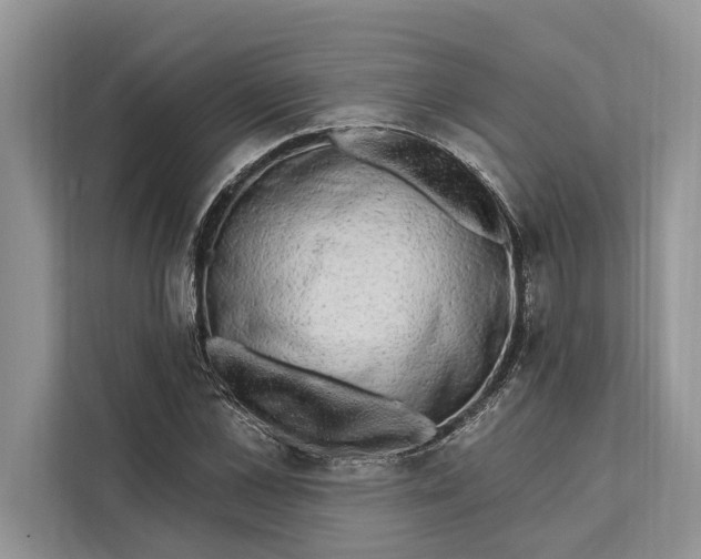 X0000112200973200908281436