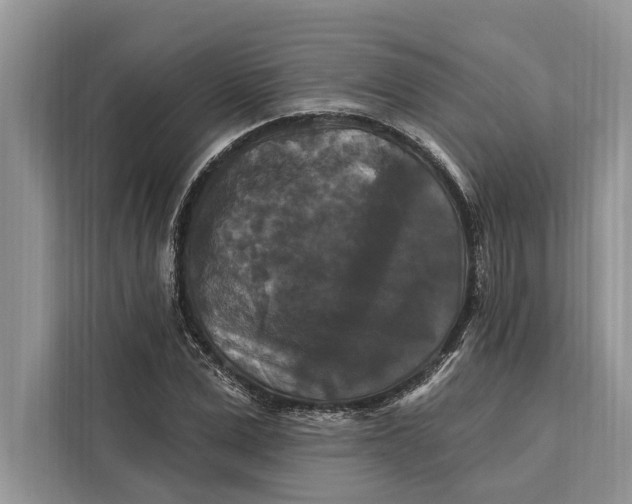 X0000112200975200908281436