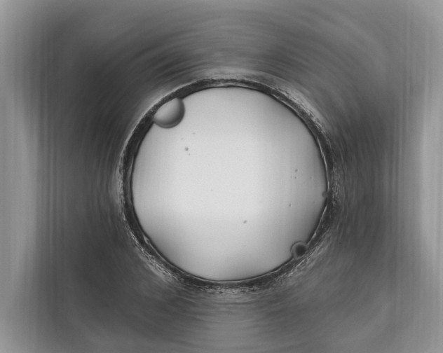 X0000112200976200908281436