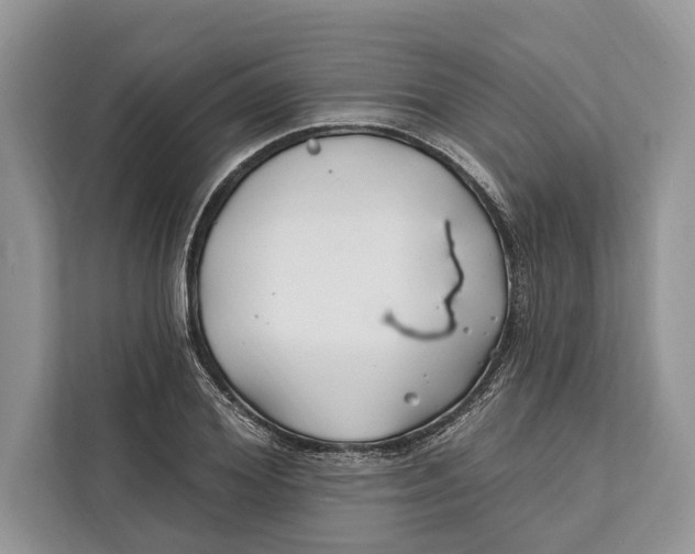 X0000112200980200908281436