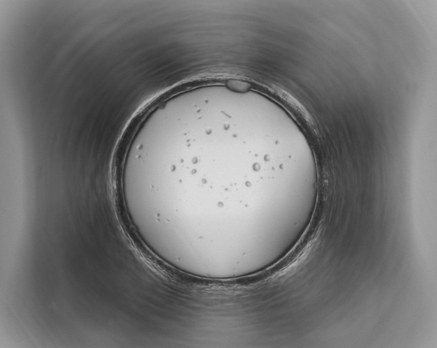 X0000112200981200908281436