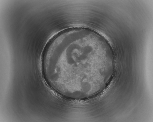 X0000112200983200908281436