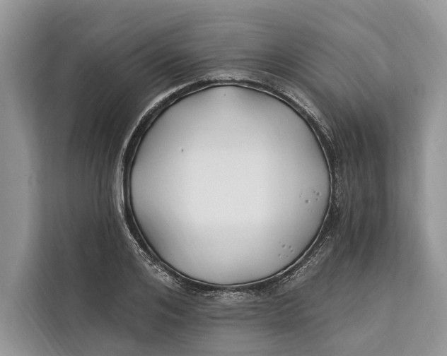 X0000112200984200908281436