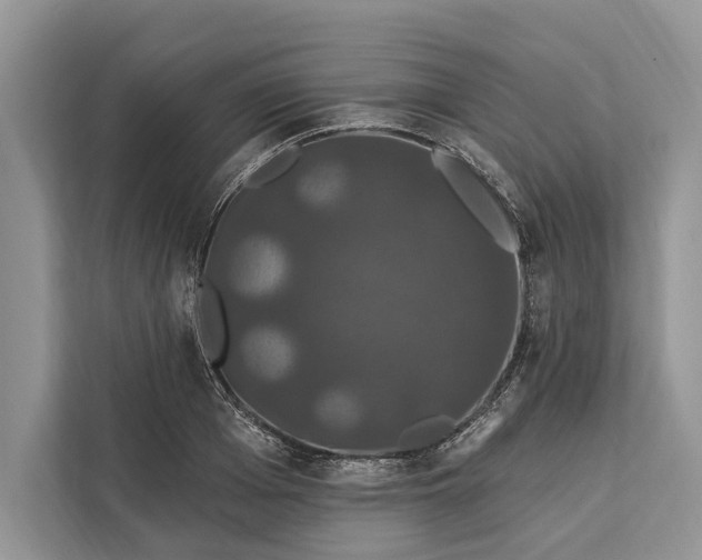 X0000112200985200908281436