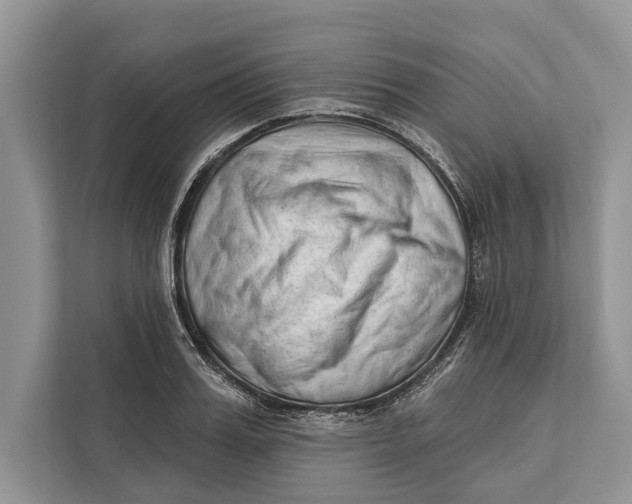 X0000112200987200908281436