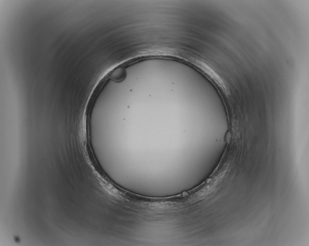 X0000112200988200908281436