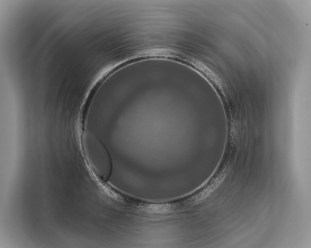 X0000112200989200908281436