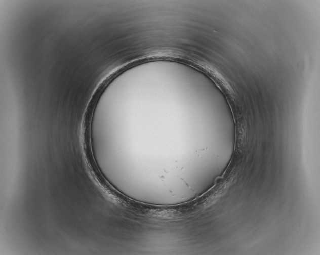 X0000112200991200908281436