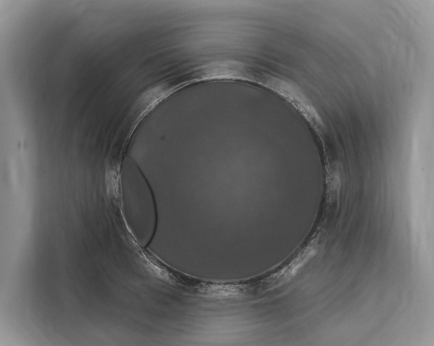 X0000112200993200908281436