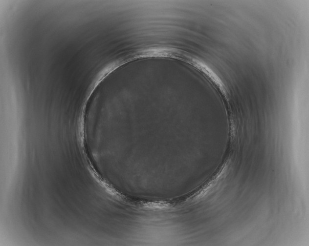 X0000112200994200908281436