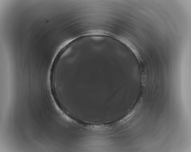 X0000112200995200908281436