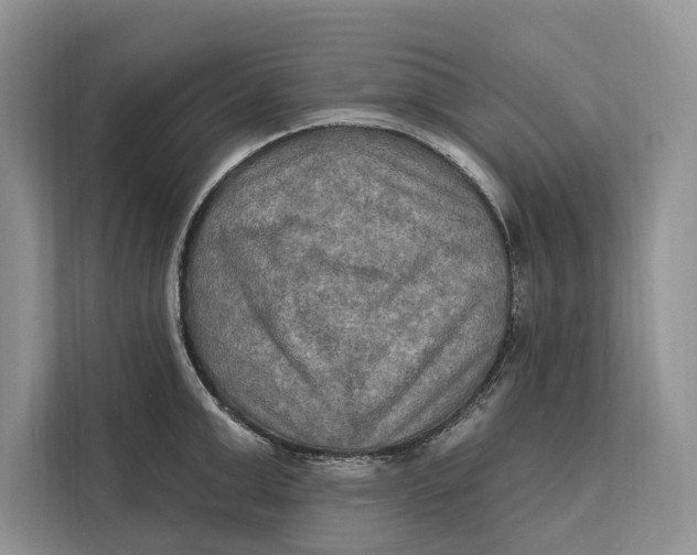 X0000112200999200908281436