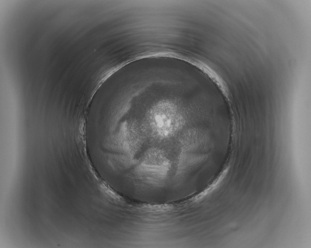 X0000112201001200908281435