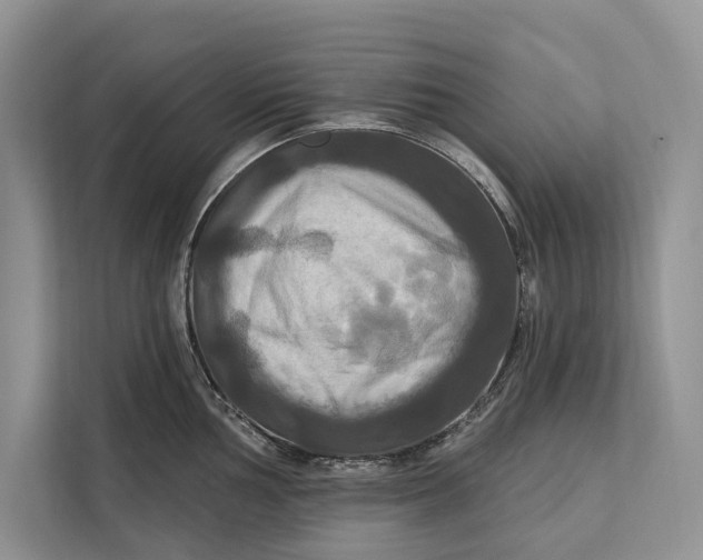 X0000112201002200908281435