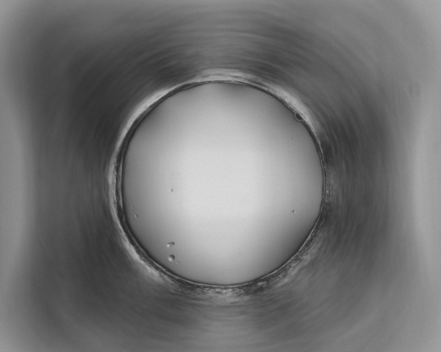 X0000112201003200908281435