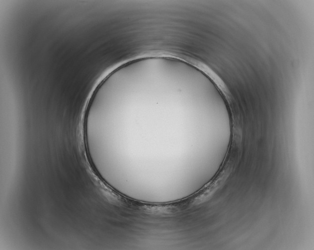 X0000112201004200908281435