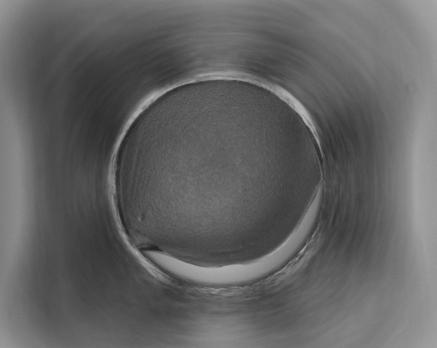 X0000112201005200908281435