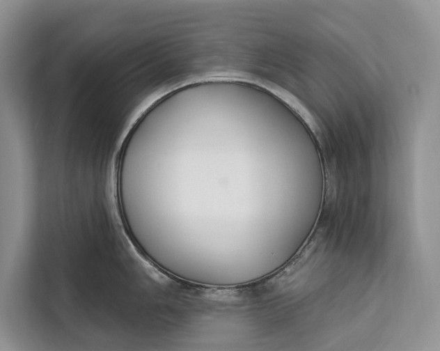 X0000112201006200908281435