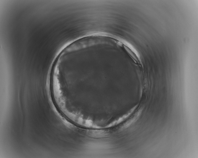 X0000112201007200908281435