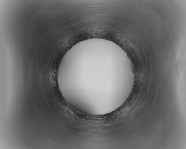 X0000112201010200908281435