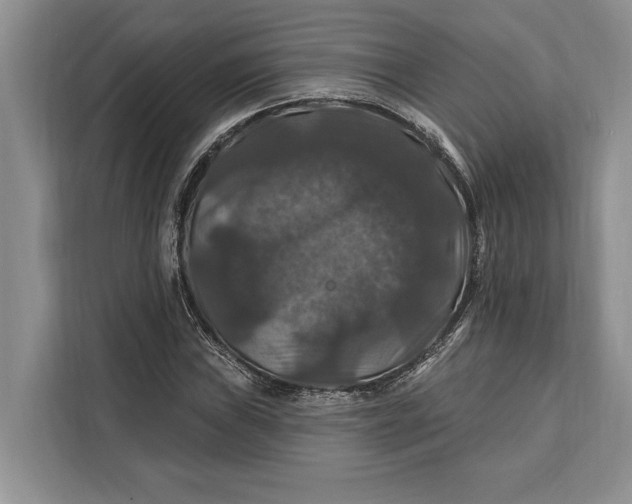 X0000112201019200908281435