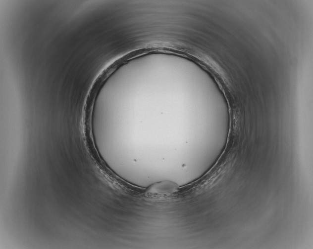 X0000112201020200908281435