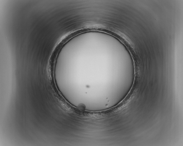 X0000112201022200908281435